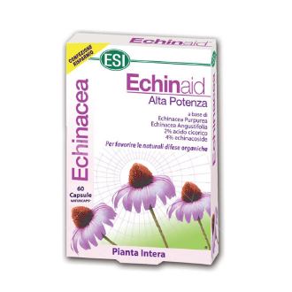 echinaid kapsule za jačanje imuniteta ishop online prodaja